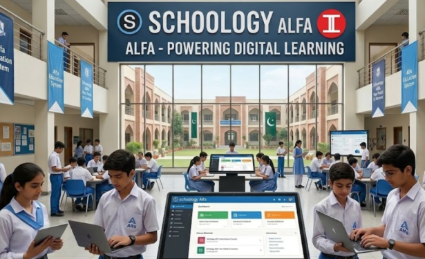 What Is Schoology Alfa and How Does It Work?