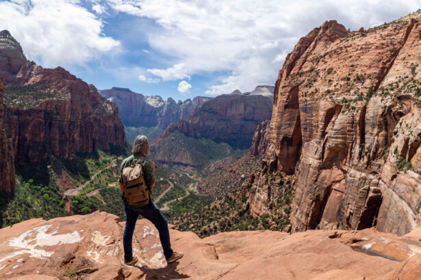Zion National Park to Las Vegas: Best Routes, Travel Tips, and Scenic Stops