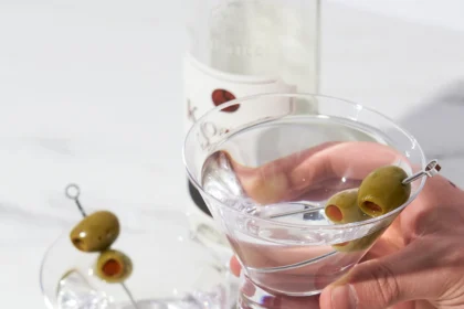 Stemless Martini Glasses: The Perfect Blend of Style and Functionality
