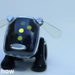 iDog Hacker: Inside the Rise of the Tech Creator and Ethical Hacking Enthusiast