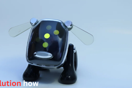 iDog Hacker: Inside the Rise of the Tech Creator and Ethical Hacking Enthusiast